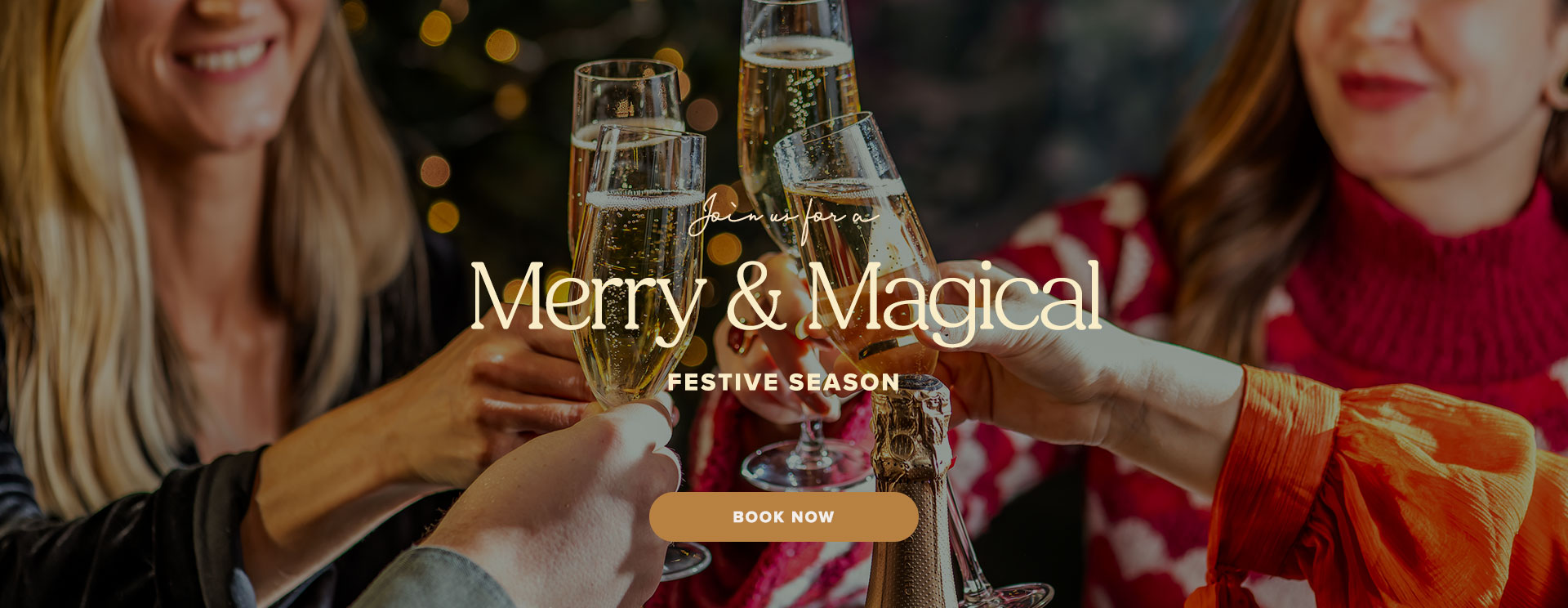 Christmas 2025 at Shenley